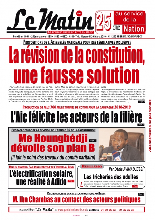 La révision de la constitution, une fausse solution